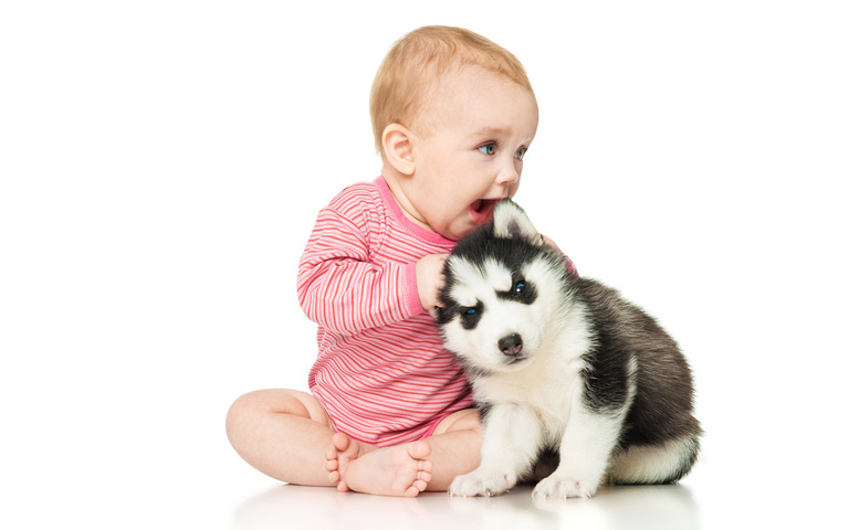 Baby und Hundewelp